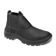 Bota