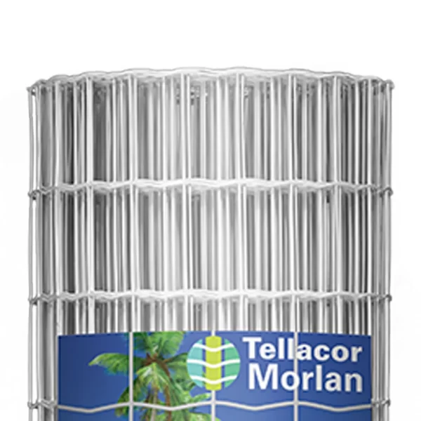 Tellacor Morlan - Imagem 2
